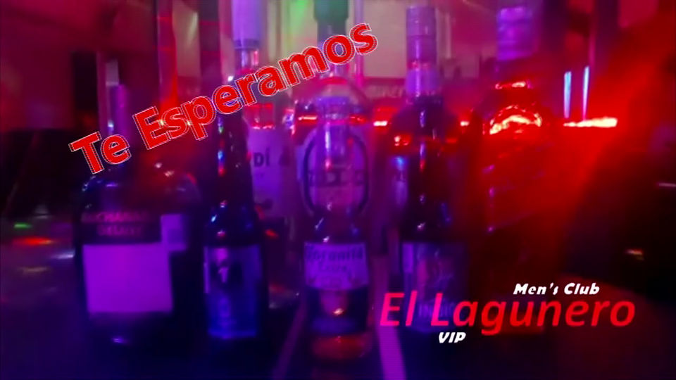Bebidas